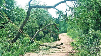 இத்தனை காலம் நமக்கு உணவளித்தவர்களுக்கு நாம் உதவும் நேரம் இது!