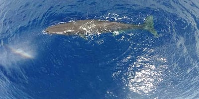 இன்னுமா தூக்கியெறியப் போகிறீர்கள்? சற்று யோசியுங்கள்!