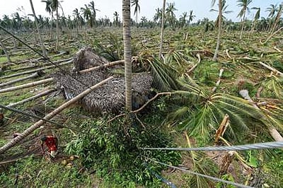 கஜா புயல் நிவாரணம்: மத்திய அரசு ரூ.1146  கோடி நிதி ஒதுக்கீடு 