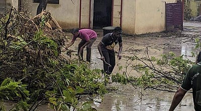 திருவாரூரில் 5 தாலுகாக்களில் பள்ளிகளுக்கு மட்டும் நாளை விடுமுறை அறிவிப்பு 