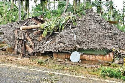 கஜா புயலின் கோரத்தாண்டவம் ! 