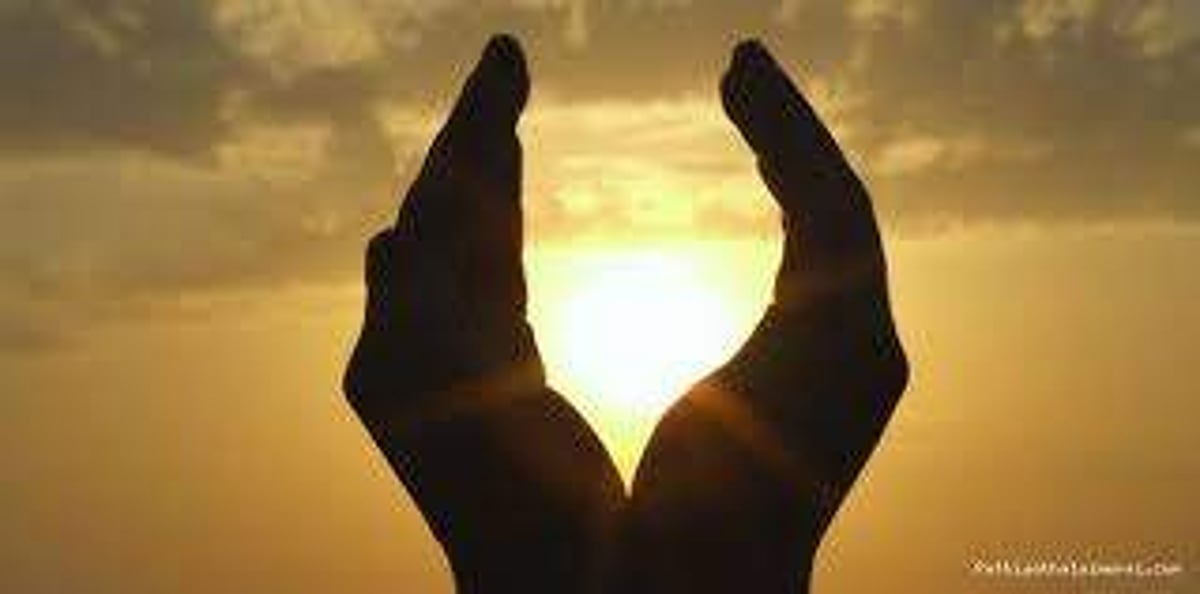 27. கடித்த நாயைக் கடிக்கலாமா?