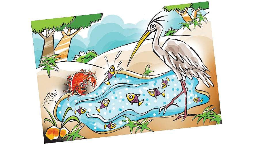 வஞ்சனையின் விளைவு!