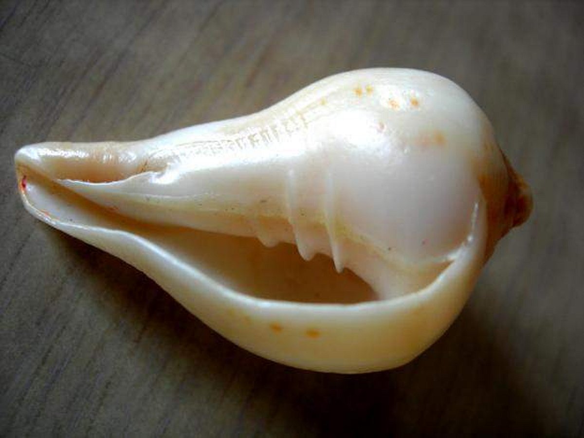 அடடே ஆச்சர்யம்! உங்கள் மீனவன் மூக்கையூர் சொல்லும் சங்கதி கேளுங்கள்!