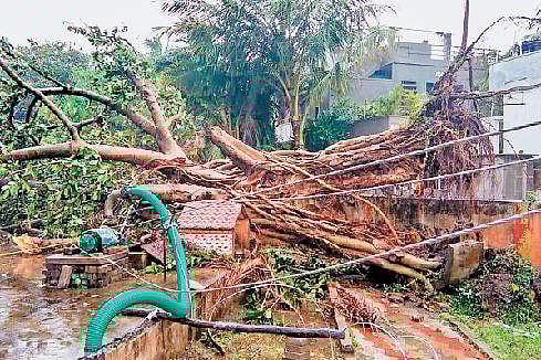 பெய்ட்டி புயல் பாதிப்பு: விஜயவாடாவில் மேலும் 4 பேர் சாவு