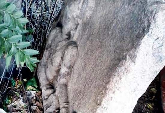 வெள்ளக்கோவிலில் சேதமடைந்து கிடக்கும் வரலாற்றுச் சிறப்புமிக்க சிற்பம்!