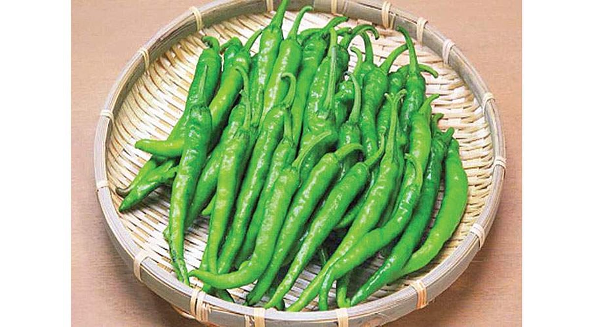 பச்சை மிளகாயின் பயன்கள்!