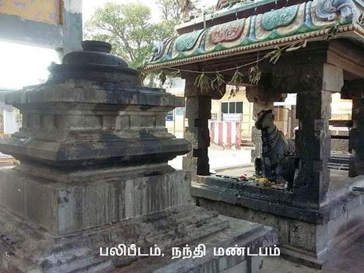 நாக தோஷம் மற்றும் சகல தோஷங்களும் விலக வேதபுரீஸ்வரர் கோவில், திருவோத்தூர்