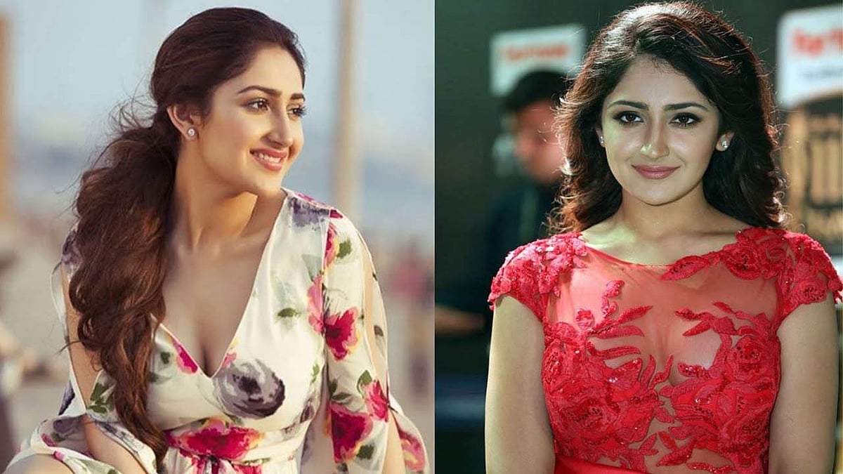 வைரலாகும் நடிகை சாயிஷாவின் அண்மைப் புகைப்படங்கள்!