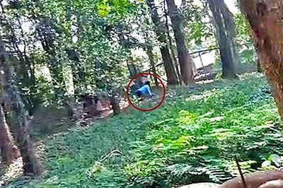 மிருகக்காட்சி சாலையில் சிங்கம் இருந்த பகுதியில் குதித்த இளைஞர்: மீட்கப்பட்ட 'திக் திக்' நிமிடங்கள்! (விடியோ)     