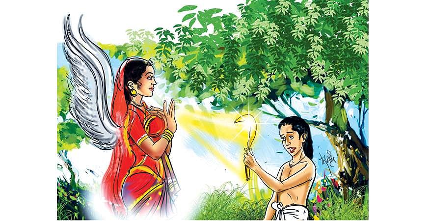 அரங்கம்: காடு