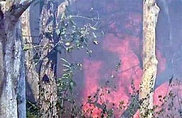 மேட்டூா் வனப்பகுதியில் தீ