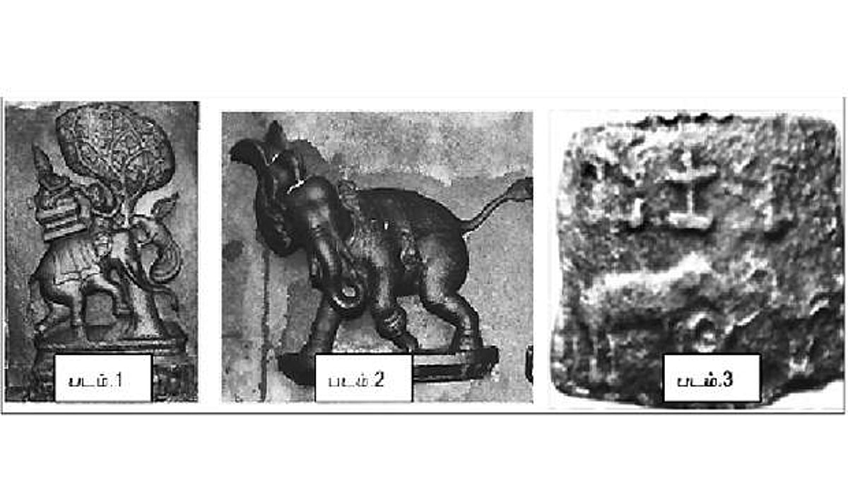 சினம் கொண்ட சேவல் என்ன செய்யும்?