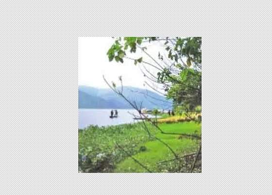 குமரி முதல் குமுளி வரை மலையடிவார கிராமங்களில் மாற்றம் ஏற்படுத்திய உயிர்ப் பன்மை பாதுகாப்புத் திட்டம்