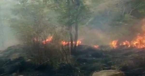 கேரள வனப் பகுதிகளில் மலையேற்றத்திற்கு தாற்காலிகத் தடை: முதல்வர் பினரயி விஜயன் அறிவிப்பு!