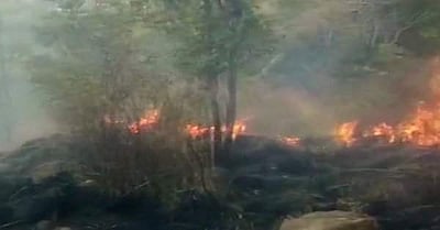 கேரள வனப் பகுதிகளில் மலையேற்றத்திற்கு தாற்காலிகத் தடை: முதல்வர் பினரயி விஜயன் அறிவிப்பு!