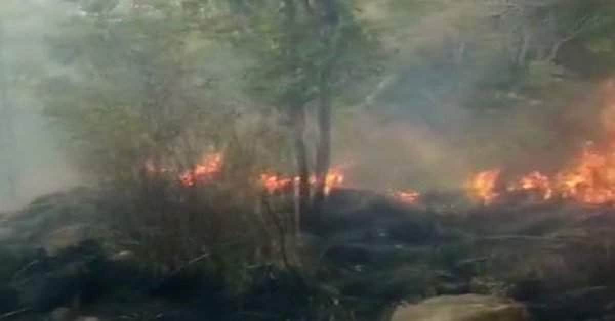 கேரள வனப் பகுதிகளில் மலையேற்றத்திற்கு தாற்காலிகத் தடை: முதல்வர் பினரயி விஜயன் அறிவிப்பு!