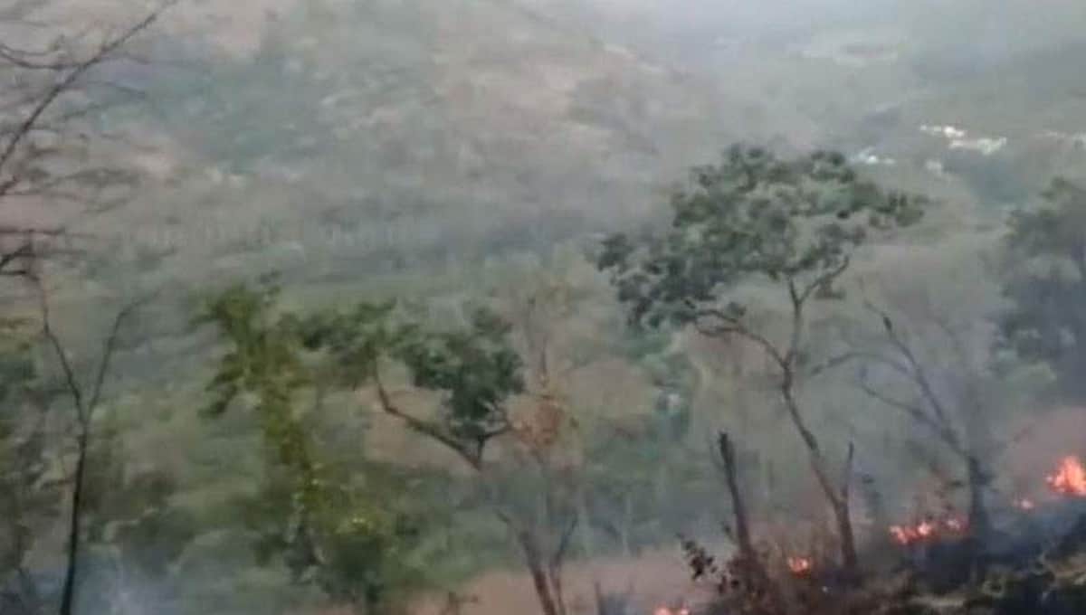 குரங்கணி தீ விபத்து: இழுத்து மூடப்பட்ட சென்னை ட்ரெக்கிங் கிளப் அலுவலகம்!