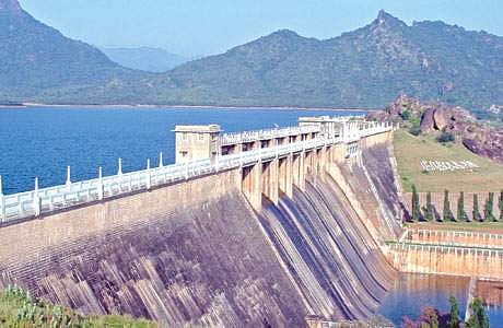 நெல்லை மாவட்டத்தில் 8 அணைகள் வறண்டன: விவசாயிகள் அதிர்ச்சி