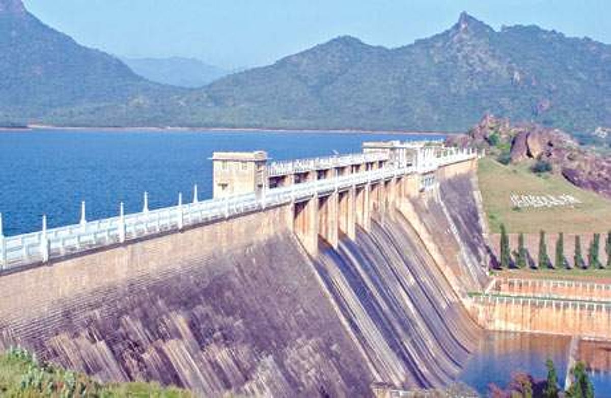 நெல்லை மாவட்டத்தில் 8 அணைகள் வறண்டன: விவசாயிகள் அதிர்ச்சி