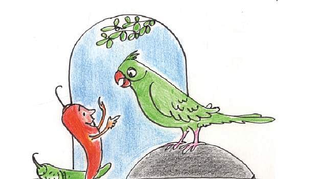 கதைப் பாடல்: கிளி! மிளகாய்!