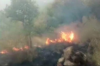 குரங்கணி தீ விபத்தில் பலி எண்ணிக்கை உயர்வு: சென்னைப் பெண் ஒருவர் மரணம்! 