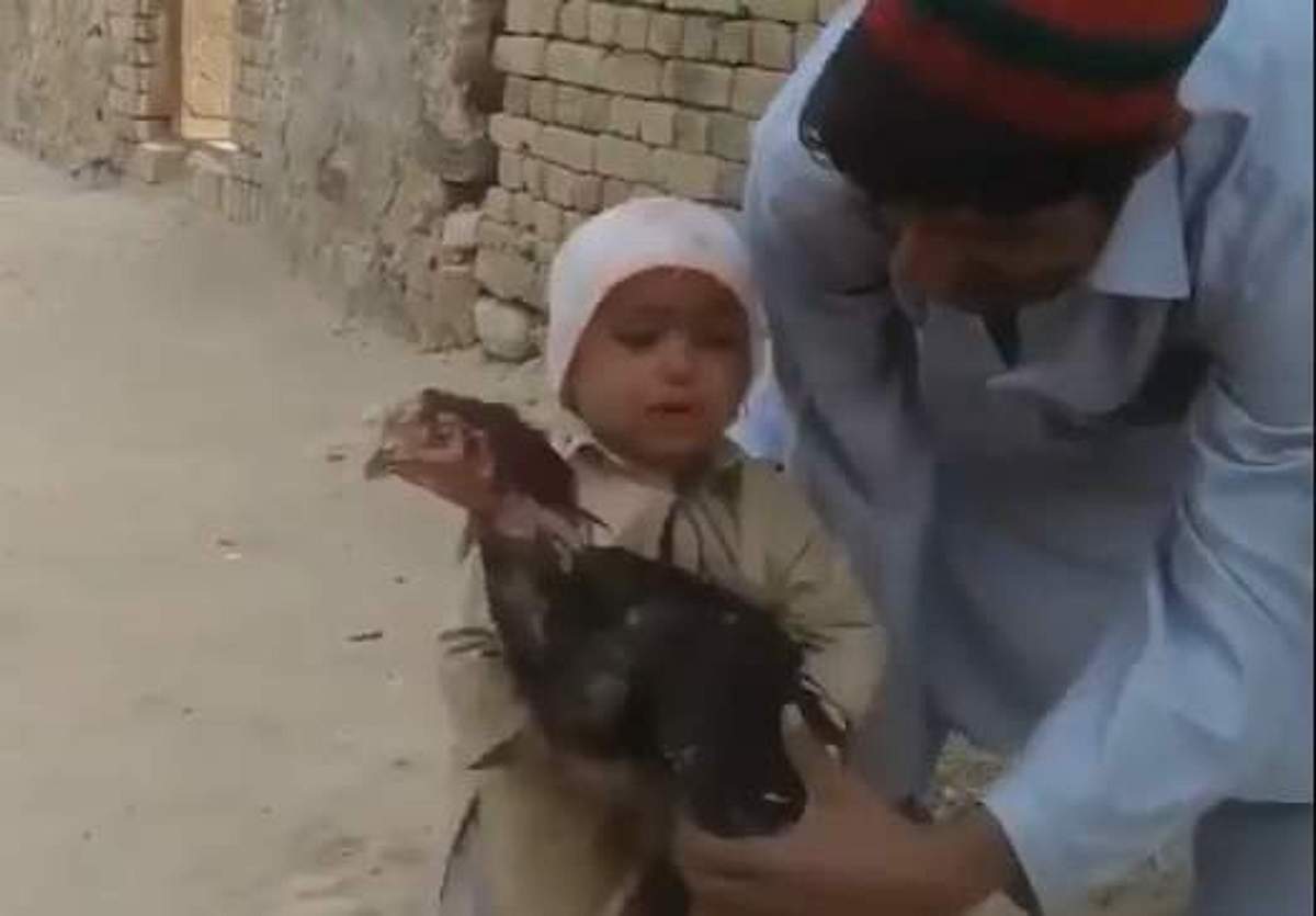 கோழியைத் தப்ப வைத்த சிறுவனுக்கு ஒரு கூடை ஸ்மைலி பார்சல்!