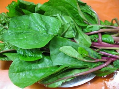 ரத்த உற்பத்தியை அதிகரிக்கச் செய்யும் அற்புத கீரை