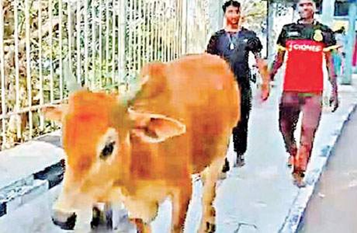 News image