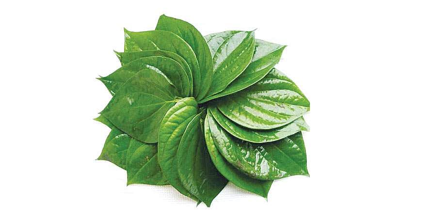 தெரிந்து கொள்வோம்!: வெற்றிலையில் இவ்வளவு நன்மைகளா?