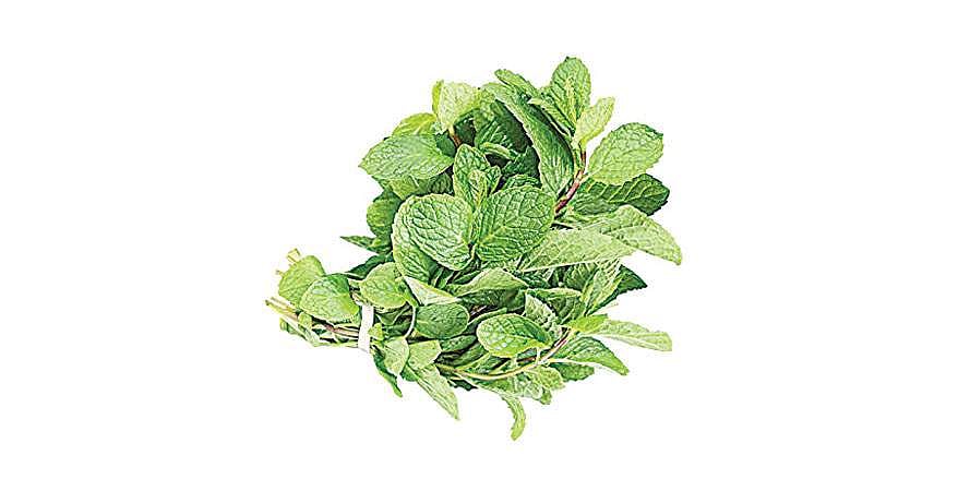 டிப்ஸ் கார்னர்