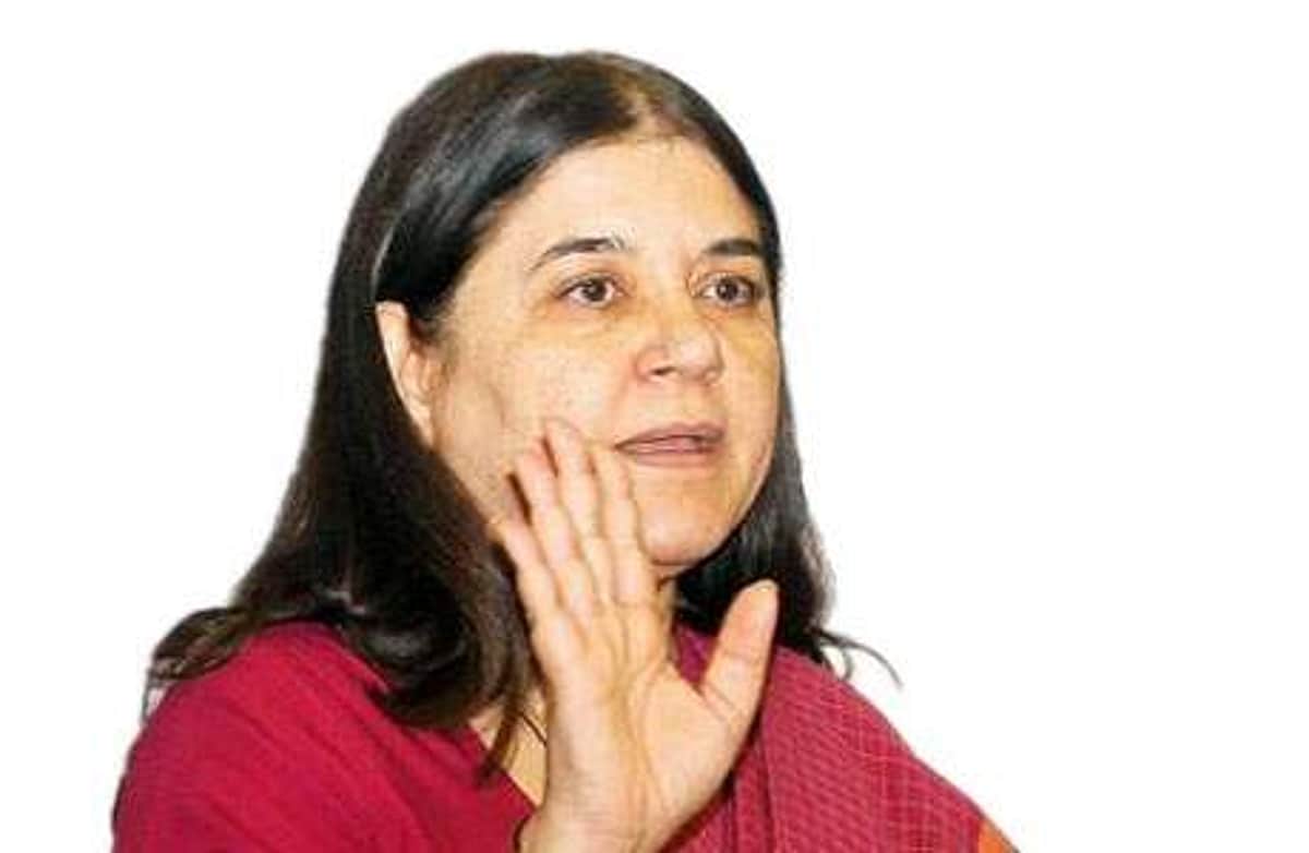 பிரதமா் மோடி வெறும் புள்ளிவிவரங்களுக்காக பணியாற்றவில்லை நாடாளுமன்ற கூட்டுக் கூட்டத்தில் மேனகா காந்தி எம்.பி. பேச்சு