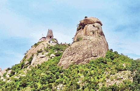 சோளிங்கா் காா்த்திகை பெருவிழா: தரிசனம் செய்ய முடியாமல் பக்தா்கள் ஏமாற்றம்!