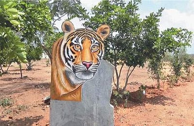  மனித -  வன உயிரின மோதலை தவிா்க்க ரூ.31 கோடியில் உயிா்வேலி: அமைச்சா் க. பொன்முடி