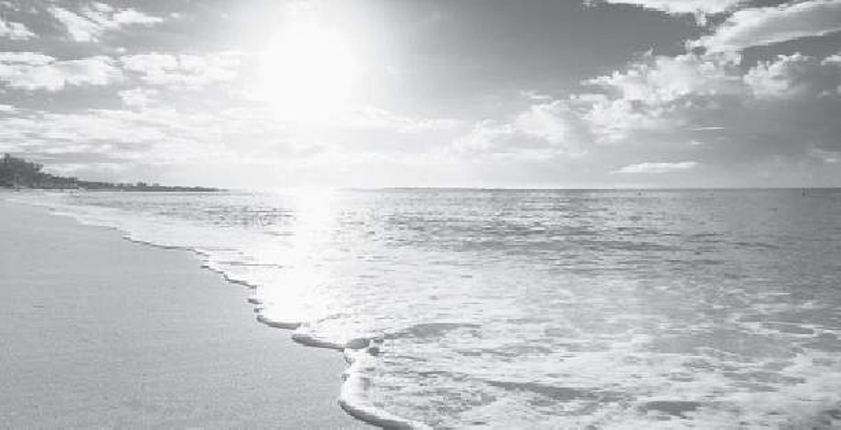 சங்கப் பாடல்களில் 'வேகம்' சித்தரிக்கும் திறன்!