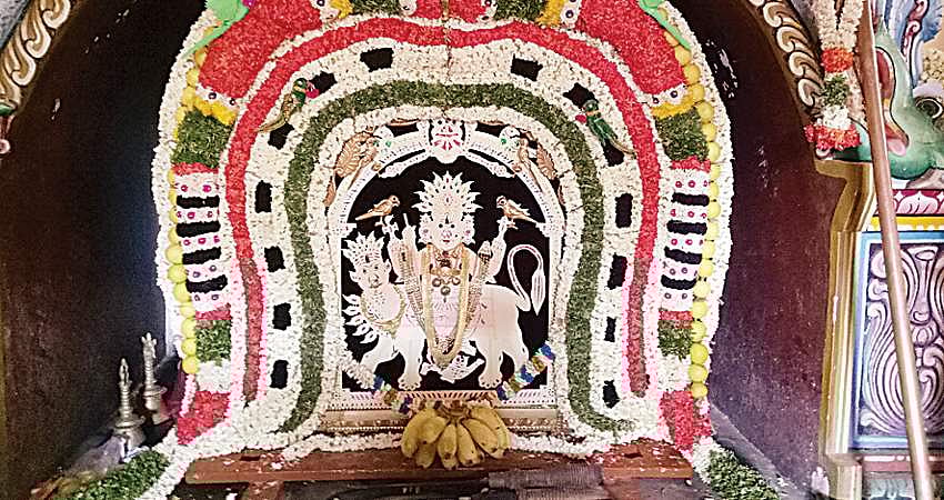 திருவரங்கச் செல்லாயித் திருவிழா!