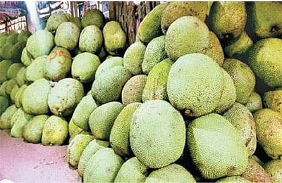 பண்ருட்டி: சமபலத்தில் அதிமுக - திமுக