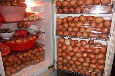 ஒன்றல்ல..இரண்டல்ல. 1000 முட்டைகளைத் திருடிய உணவுத் தொழிற்சாலை காவலாளி! 