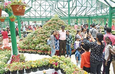 உதகை மலர்க் கண்காட்சி நடைபெறும் நாள்கள் அதிகரிப்பு!