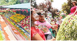 உதகை மலர்க் கண்காட்சி: 
நீலகிரி மாவட்டத்துக்கு மே 18-இல் உள்ளூா் விடுமுறை