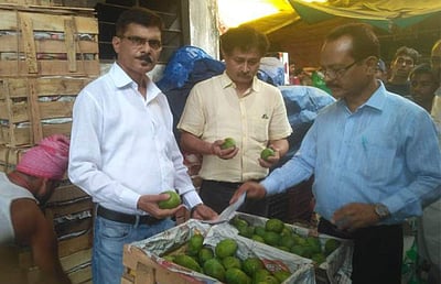 அழித்தொழிக்கப்பட்ட 12 குவிண்டால் கார்பைடு மாம்பழங்கள்! தமிழகத்தில் இது சாத்தியமா?