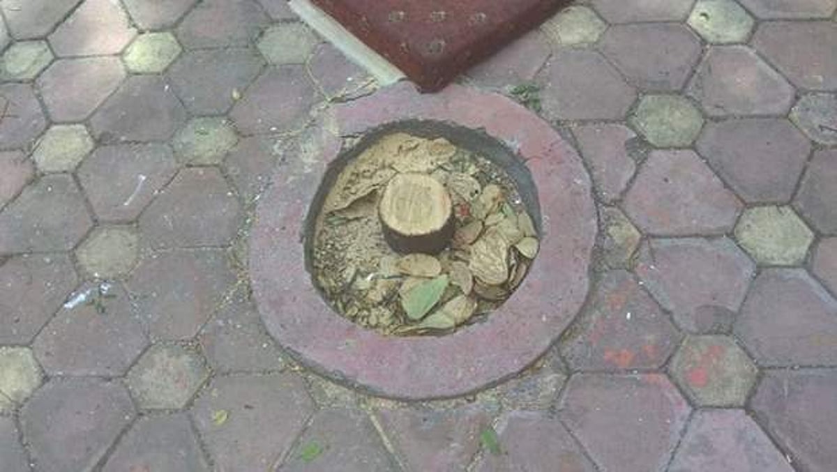 ஆளுநர் மாளிகையில் இருந்த 5 சந்தன மரங்கள் கடத்தல்