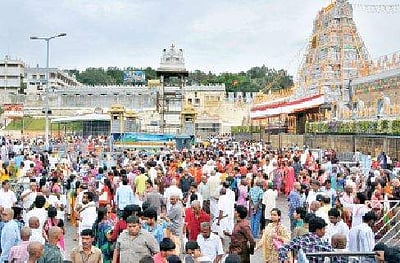 திருப்பதியில் வாடகை அறை கிடைக்காமல் மரங்களின் நிழலில் தங்கிய பக்தர்கள்..! 