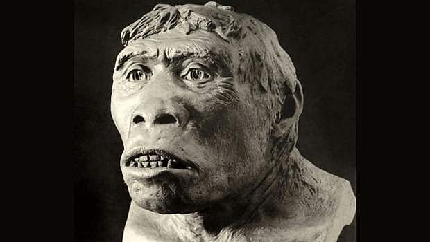 இன அரசியல்-1: மனித இனத்தின் தோற்றமும் - பரவலும்