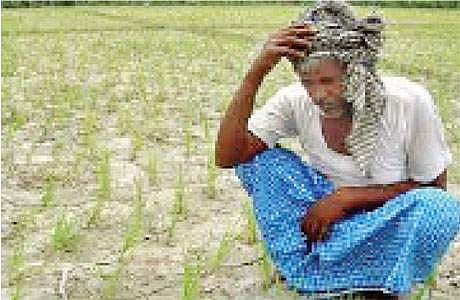 குறைந்துவரும் நெல் சாகுபடி: தண்ணீர் தர மறுக்கும் மாநிலங்களிடம் நெல்லுக்கு கையேந்தும் அவலம்