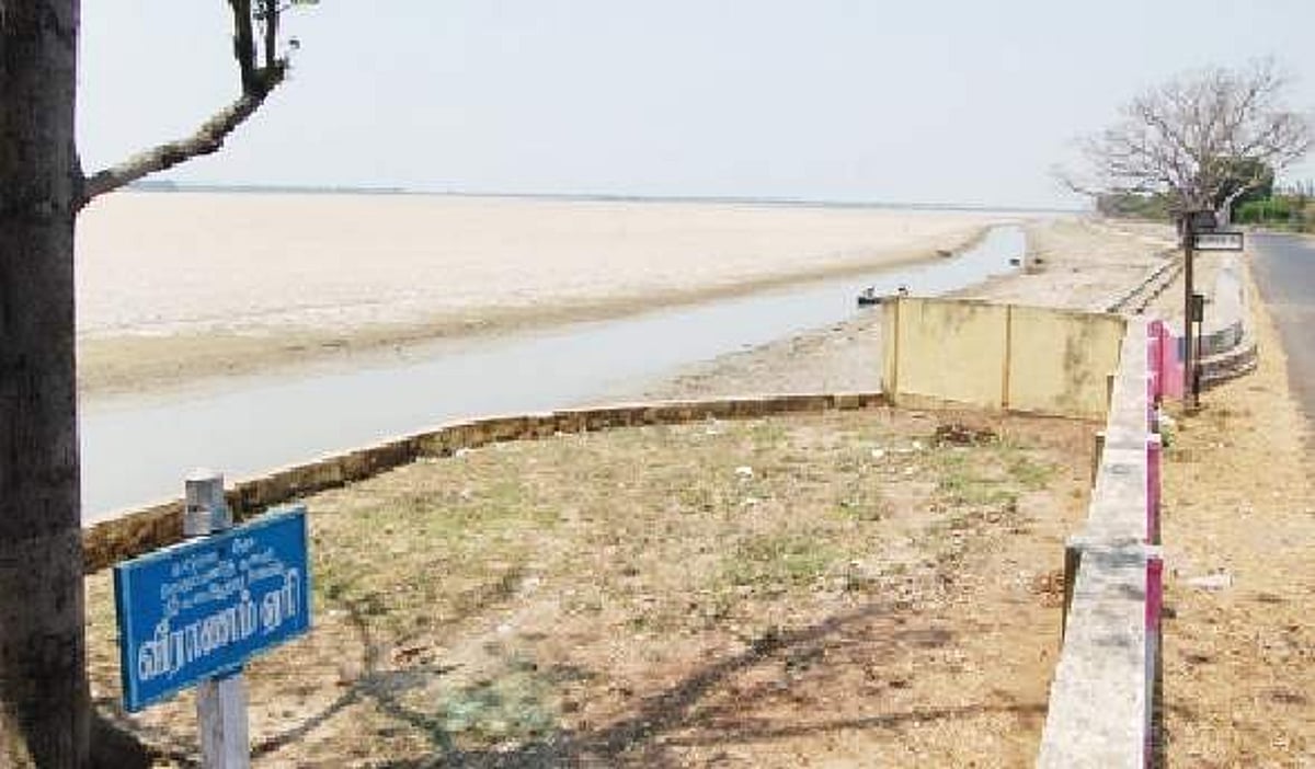 வறட்சியில் கடலூர் மாவட்டம்: வறண்டது வீராணம் ஏரி