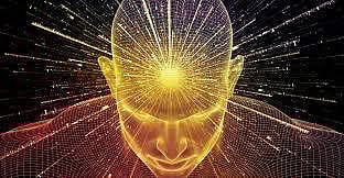 3. முற்பிறவி உண்டா?