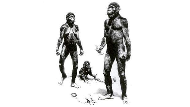 இன அரசியல்-12: திராவிடர்