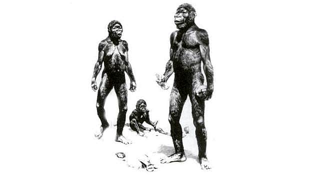 இன அரசியல்-12: திராவிடர்