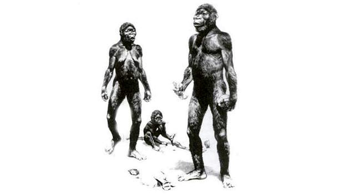 இன அரசியல்-12: திராவிடர்